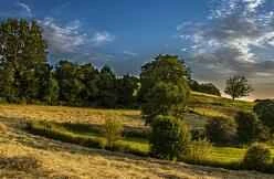 This summer's personalized slimming secrets: your own weight loss method