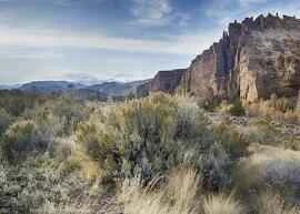 10 Healthy Weight Loss Secrets to Help You Lose Weight Quickly