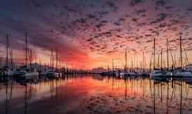 Five magic weapons to absorb your excess fat