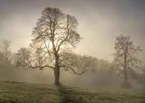 12 Tips to Help You Burn More Fat Easily