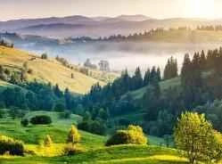 Weight loss misconceptions: Eating low-fat foods