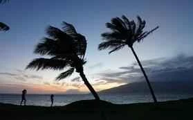 Best weight loss methods ranking