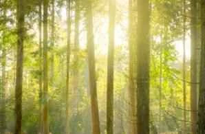 A great opportunity to lose weight during menstruation