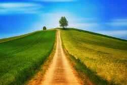 5 simple tips for quick weight loss during the New Year