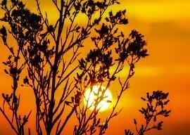 7 Hot Tips for Weight Loss After Christmas Meals