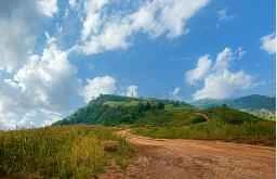 What is the fastest and most effective way to lose weight?