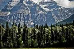 Ten good lifestyle habits to help you lose weight easily