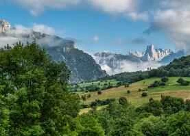 Let's start our spring routine with a shower!