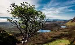 How to lose weight quickly and effectively in autumn