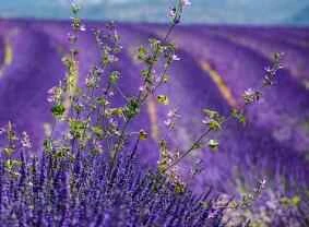 Four steps to easily achieve a perky, shapely butt