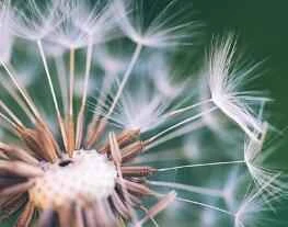 Ten easy ways to lose weight during the National Day holiday