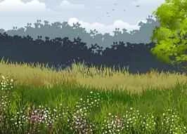 9 Weight Loss Methods Hidden in Daily Life