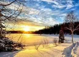 9 Secrets to Losing 12 Pounds Quickly for Women with a "Barrel Waist"