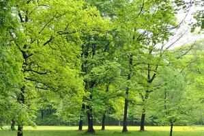 The dangers of dieting