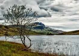 How to lose weight? Experts review 5 personalized weight loss methods.