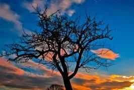 Did you know these foods can cause obesity in spring?