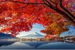 Analyzing the secrets to not gaining weight: Beautiful body and delicious food at the same time