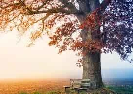 Springtime weight loss methods to help you lose weight