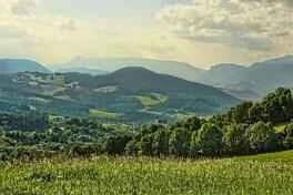 What's the best way to lose weight? Porridge can help you easily lose weight.