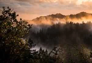 5 Tips to Control Your Appetite