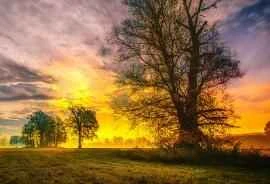 Expert loses 30 pounds with 2 drops of blood: weight loss tips