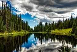 An amazing weight loss method that resulted in a total weight loss of 41 pounds.