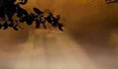 How to lose weight healthily and effectively after childbirth