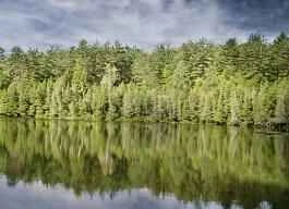 Spring Weight Loss 4 Steps