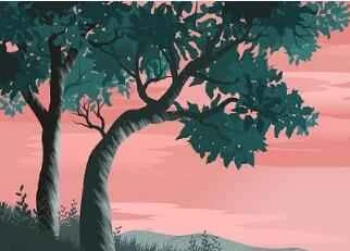 For those looking to lose weight, plain water is the top choice for summer.