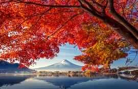 10 Tips for Anytime, Anywhere