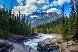 Change your eating habits to stop being obese