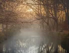 10 Weight Loss Tips Shared by a Homebody