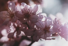 Weight loss methods, strategies and tips