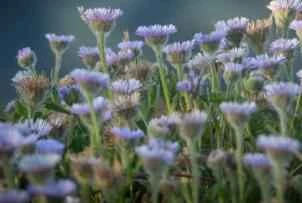 Common sense about weight loss