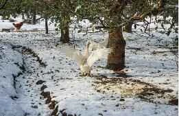 16 Great Tips to Control Your Appetite and Help You Lose Weight Quickly