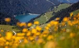 Spring Weight Loss Guide: Dietary Methods