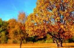 How to suppress a strong appetite in winter