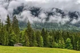 Traditional Chinese Medicine Weight Loss Methods for Five Body Types