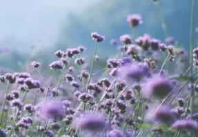 Follow these 5 weight loss rules to lose weight easily