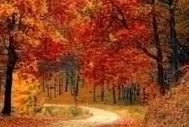 The healthiest, most effective, and effortless way to enjoy autumn and winter