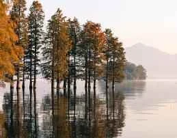 10 Weight Loss Methods to Help You Get Rid of Fat