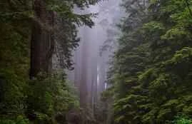 Weight loss secrets to eating as much as you want without gaining weight