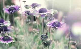 Real-life experience with the 21-day diet