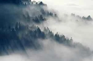 How to lose weight during your period: a healthy weight loss plan