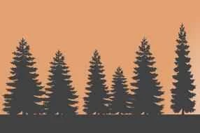 5 ways to lose weight without dieting