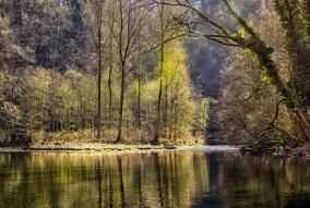 8 Best Detox and Weight Loss Methods After the Holidays