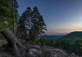 This summer, let's skip the meat: a healthy three-step weight loss method.