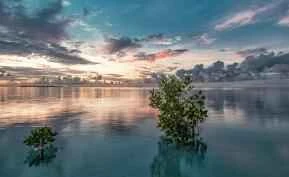 The Elephant Girl's Tearful Story of Losing 80 Pounds to Become a Hot Girl