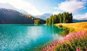 Ten Healthy Weight Loss Rules for a Slim and Healthy Life Every Day