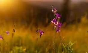 Practical weight loss tips: Exercise